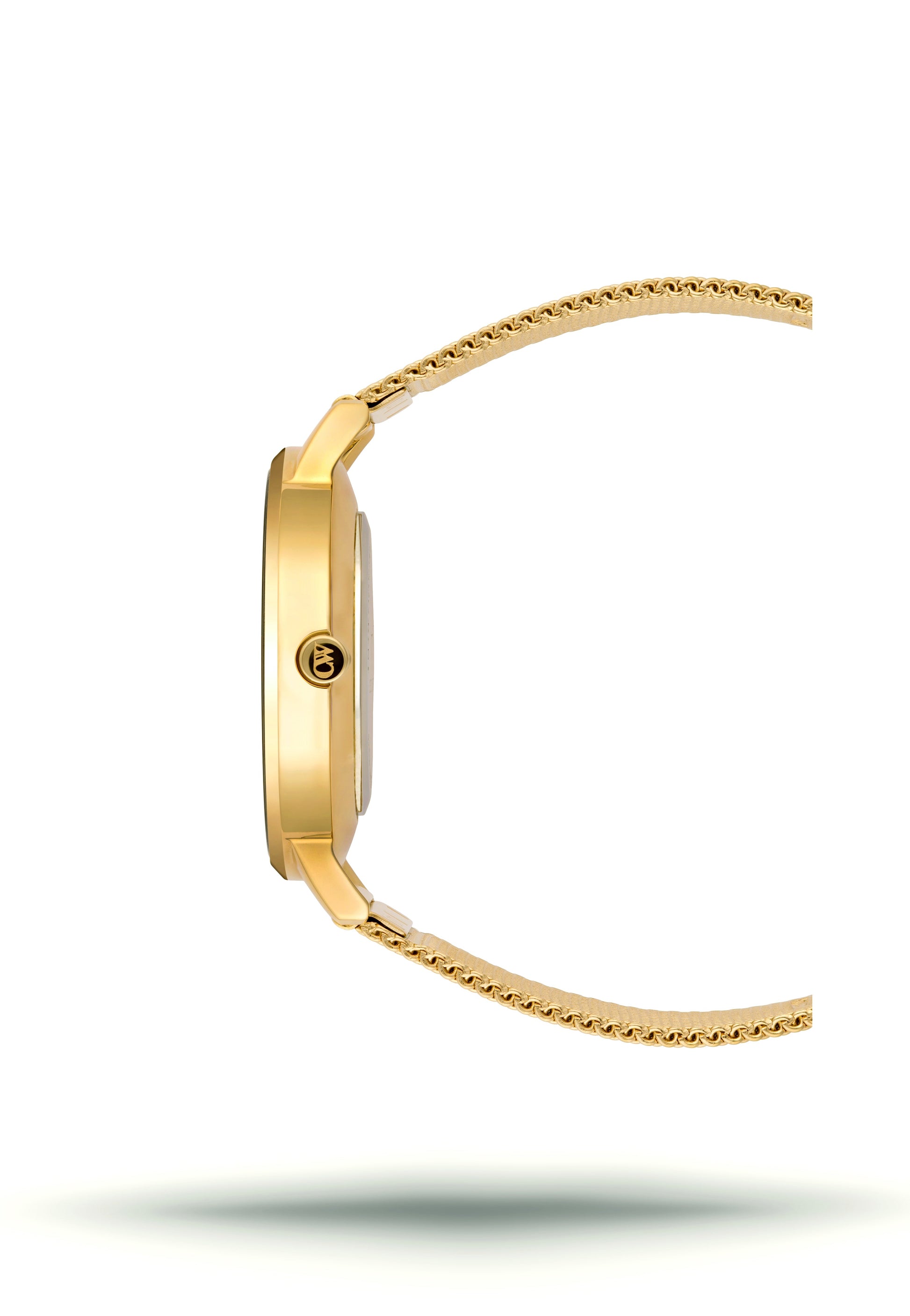 Gold Horoscope Astrology Watch - The Constellation Collection Celestial Watches