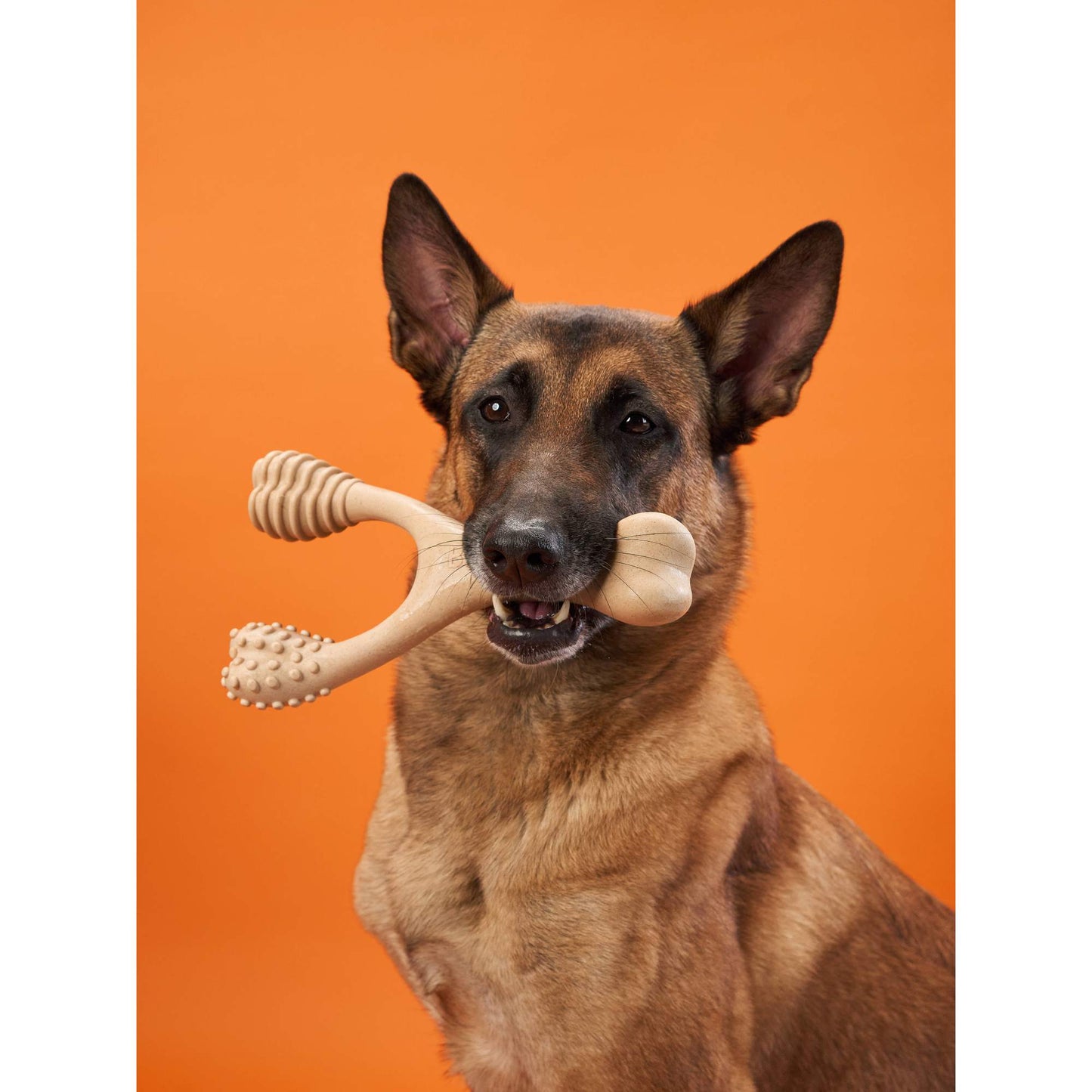 Eco-Friendly Tough Chew: BetterBone HARD for Aggressive Chewers! BetterBone All Natural Eco-Friendly Dog Chews & Bones