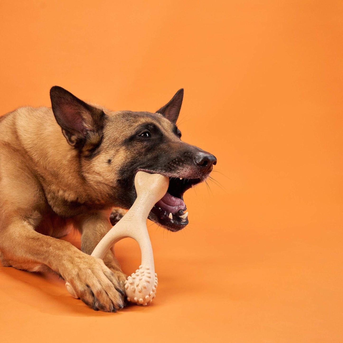 Eco-Friendly Tough Chew: BetterBone HARD for Aggressive Chewers! BetterBone All Natural Eco-Friendly Dog Chews & Bones