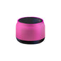 Music Street Easy Play Bluetooth Speaker Chris and Alexa Store