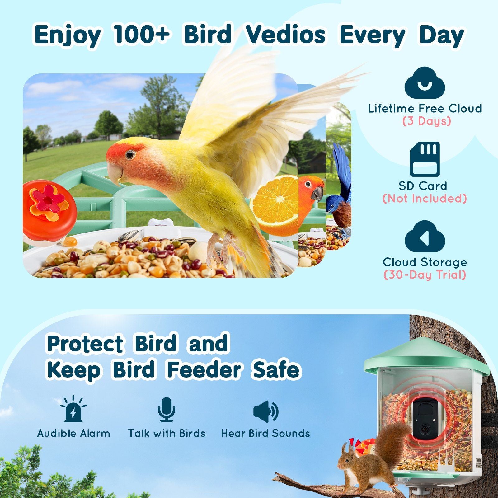 VEVOR 2K HD Smart Bird Feeder Camera with AI Bird Species Recognition and Auto Capture Doba