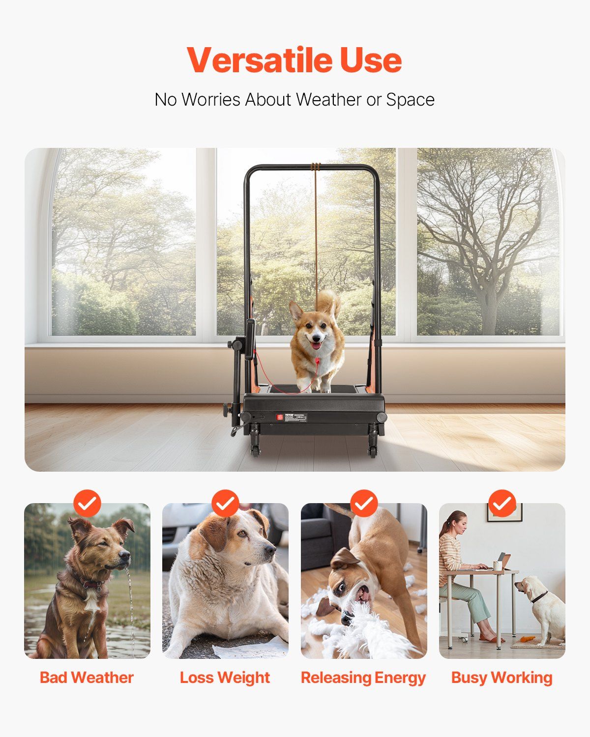 Electric Dog Treadmill for Medium Breeds - Home Fitness Solution for Active Pets