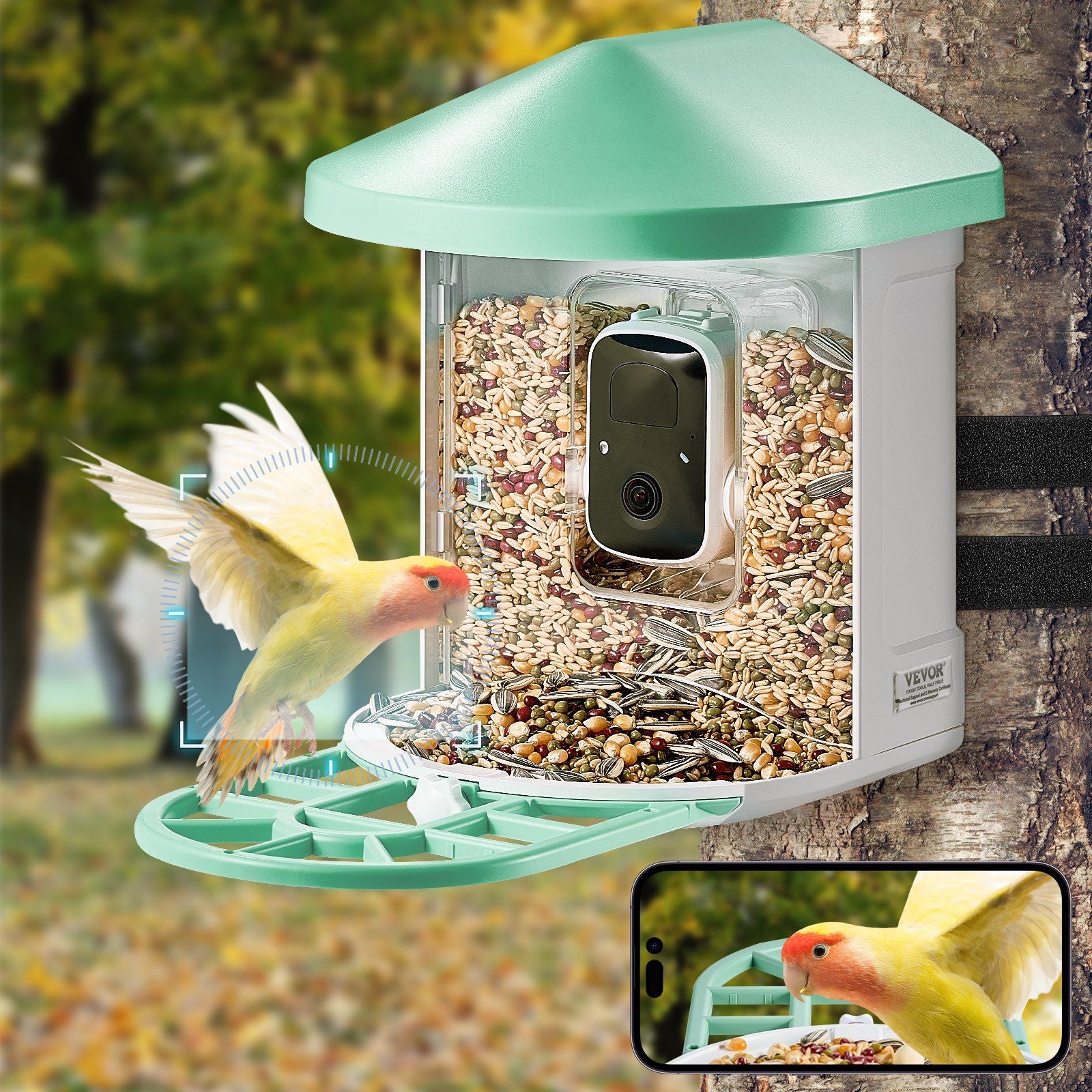 VEVOR 2K HD Smart Bird Feeder Camera with AI Bird Species Recognition and Auto Capture Doba